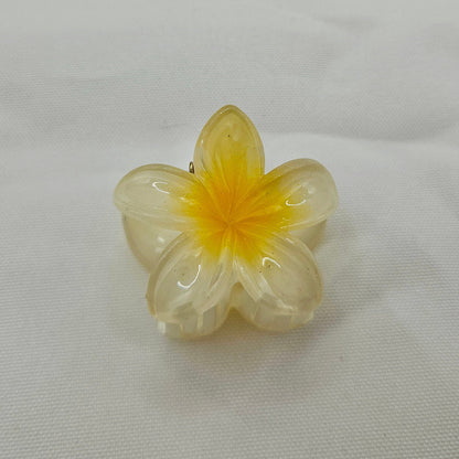 Haarspange Little Blooming Moments